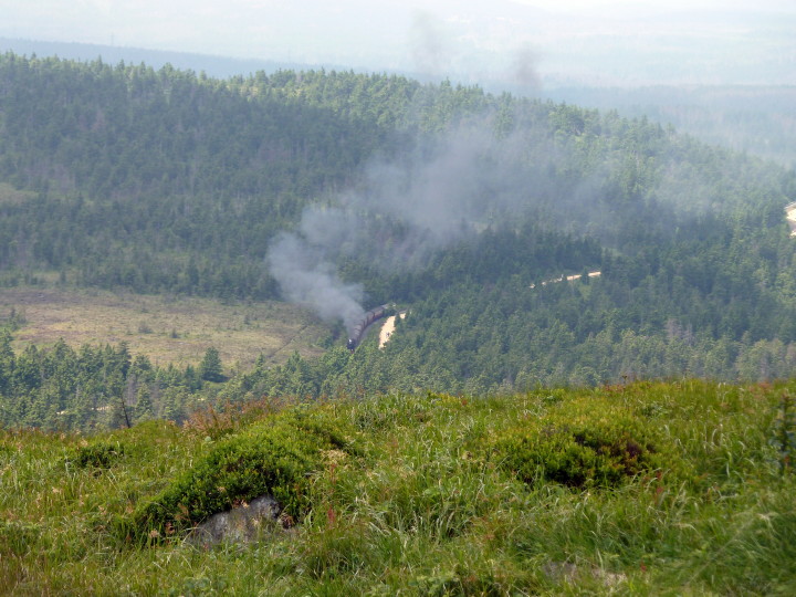 Brockenblick auf Brockenbahn