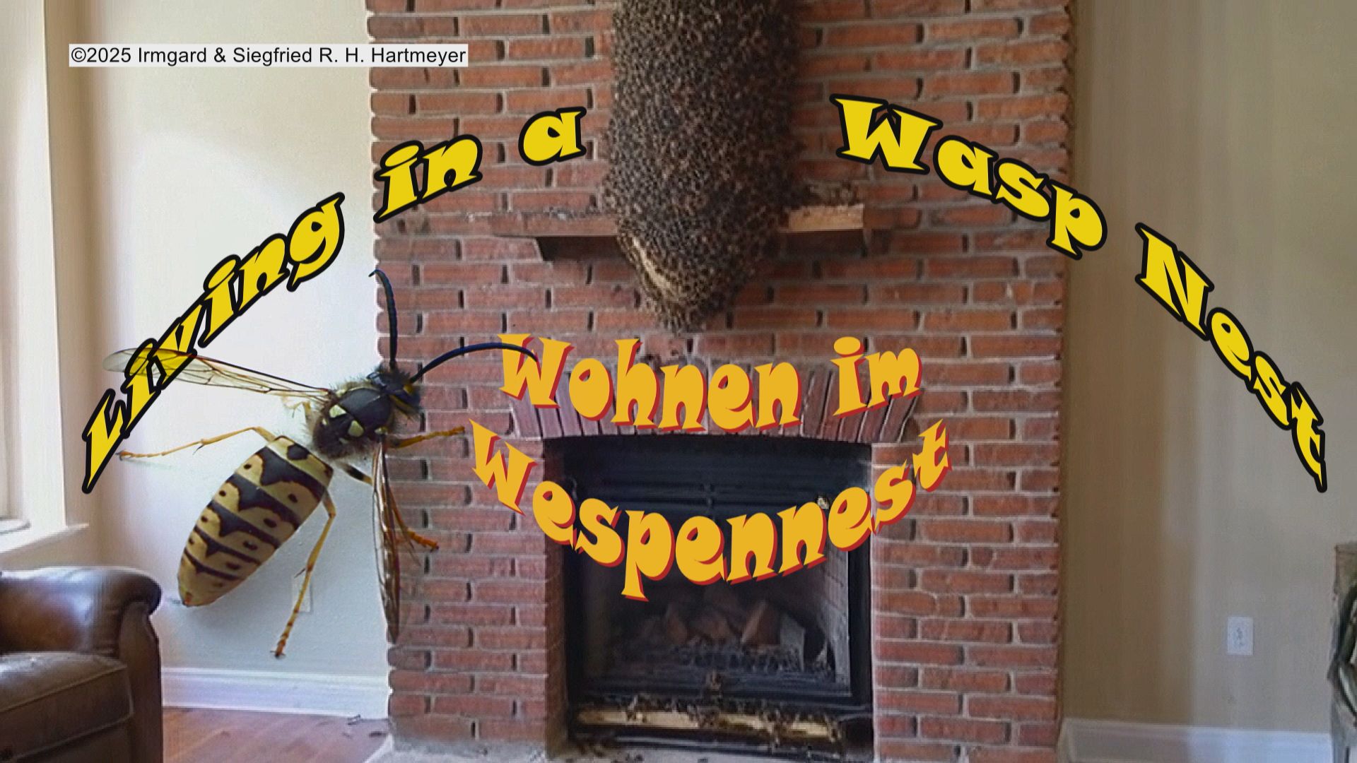 Wohnen im Wespennest_Thumb