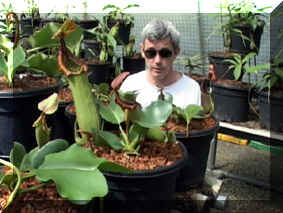 Rob Cantley mit Nepenthes truncata black