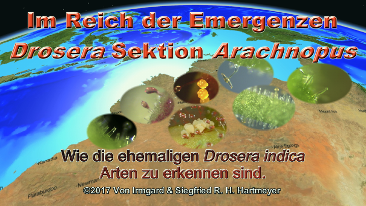 Im Reich der Emergenzen Thumb