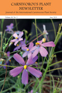 CPN48_Coverklein_Byblis_2019