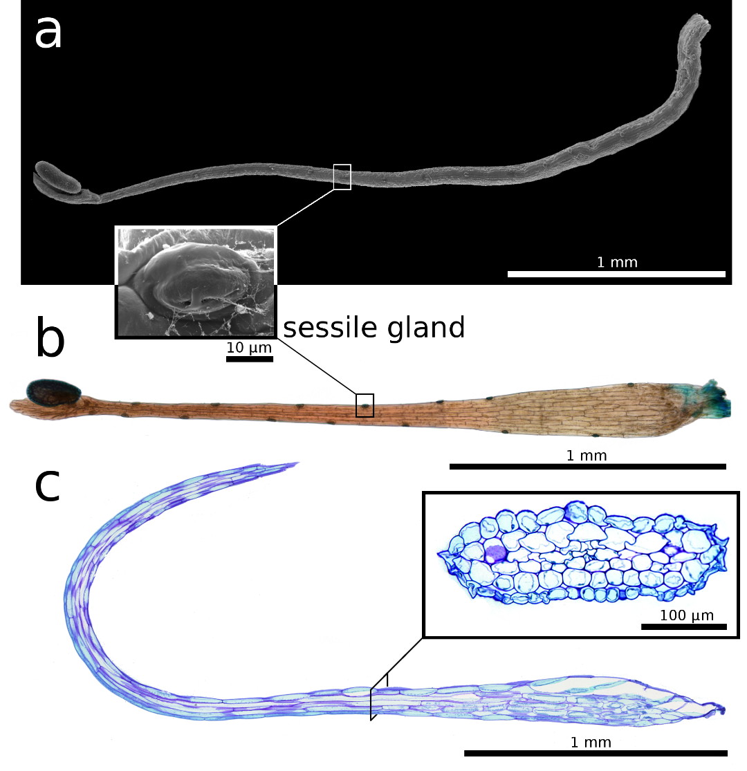 Fig. 3 GB