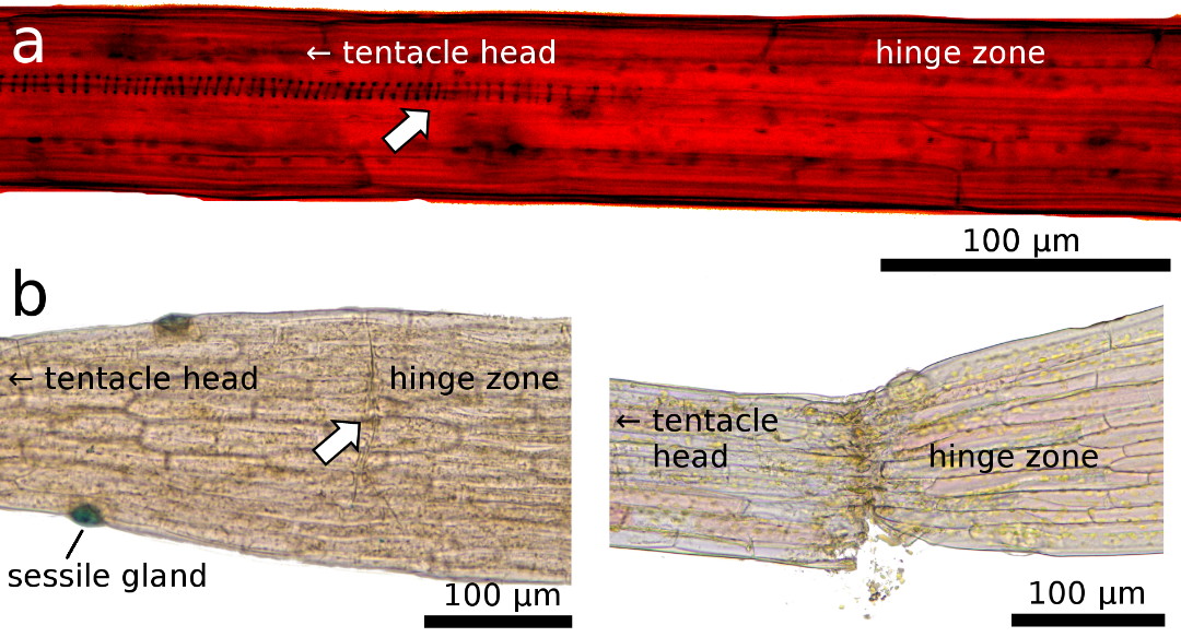 Fig. 4 GB