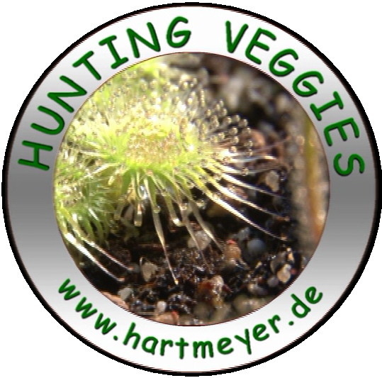 Hunting Veggies Logo