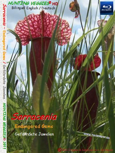 Sarracenia - Endangered Gems/Gefährdete Juwelen