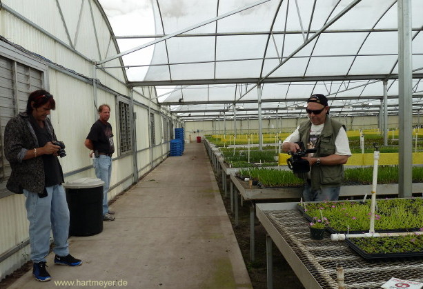 Tissue culture nursery AG-3 Mike Rinck