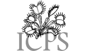 ICPS Logo & Link