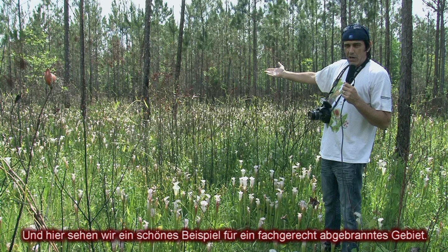 Brian Barnes (Splinter Hill Bog)