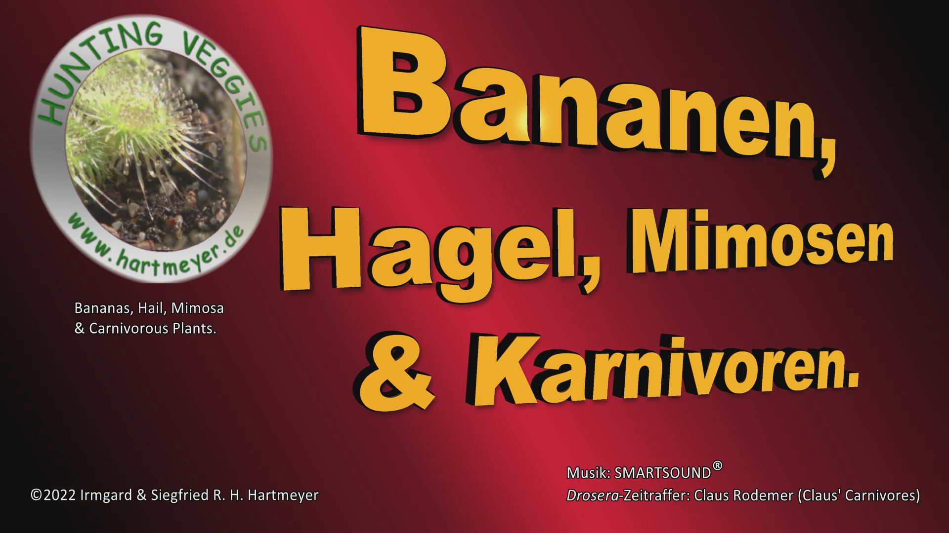 Bananen-Hagel-Mimosen&Karnivoren_Thumb